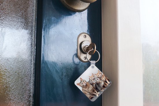 Porte-clés - Chat - Chatons - Fourrure - Plastique