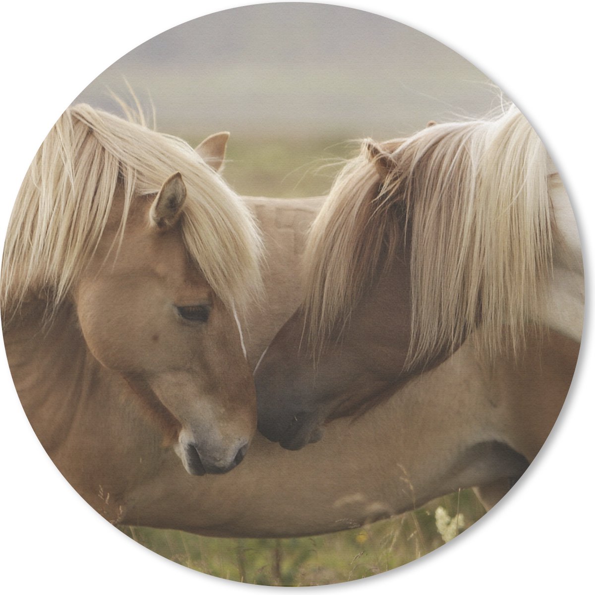 Muismat rond 30x30 cm - Mousepad Paarden - Gras - Bruin - Ronde muismatten