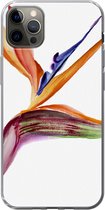 Geschikt voor iPhone 12 Pro Max hoesje - Strelitzia - Aquarel - Bloemen - Siliconen Telefoonhoesje