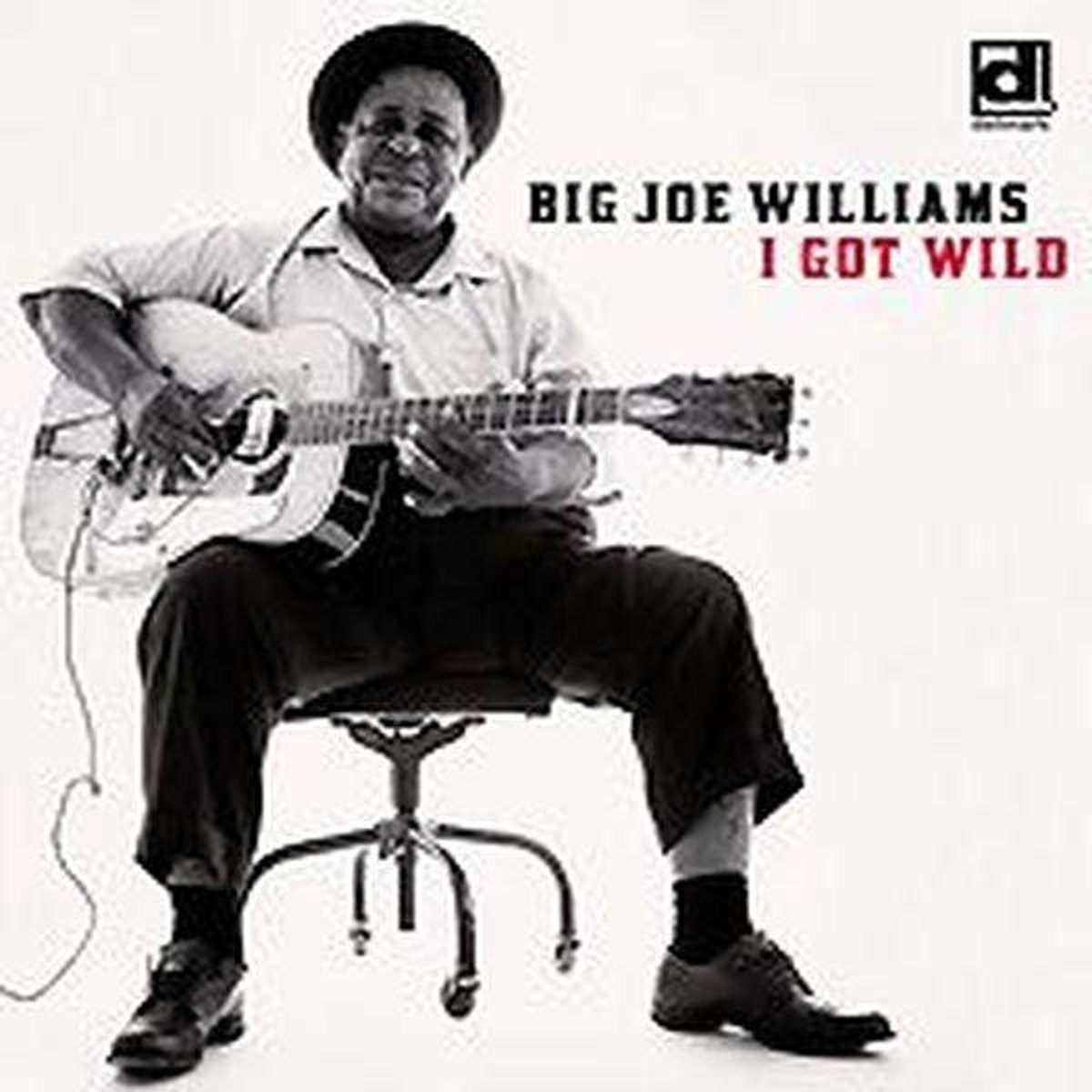 Big Joe Williams - I Got Wild (CD)