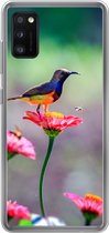 Geschikt voor Samsung Galaxy A41 hoesje - Close-up van een kolibrie op roze bloemen - Siliconen Telefoonhoesje
