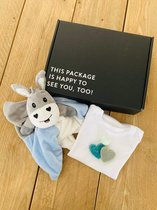 Kraamcadeau Jongen - Babyshower cadeau klein formaat - Leuk en compleet kraamcadeau voor een jongen - Baby Geschenkset - Kraamcadeau voor jongens - Babyshower gift