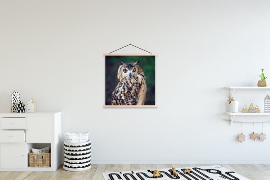 Affiche scolaire - Hibou Grand-duc - 60x60 cm - Lattes blanches