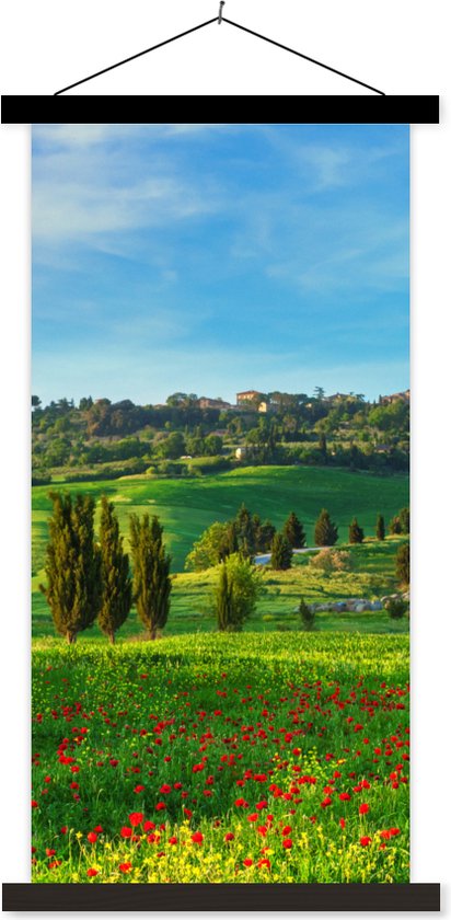 Affiche scolaire - Toscane - Paysage - Fleurs - 40x80 cm - Lattes noires