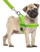 Hondentuigje - voor hele kleine hondjes - groen - maat S - no pull - reflecterend - super zacht fleece