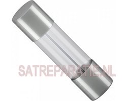 Glaszekering 250V F1.25A - 2 stuks - 20x5mm - snelle uitschakelkarakteristiek