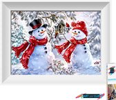 Artstudioclub™  Diamond painting volwassenen 30*40cm  sneeuwpop