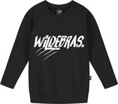 KMDB Sweater Echo Wildebras maat 128