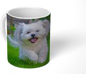 Mok - Een Shih Tzu hond loopt door het groene gras - 350 ML - Beker