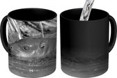Magische Mok - Foto op Warmte Mok - Jong dwergnijlpaard in het water - zwart wit - 350 ML
