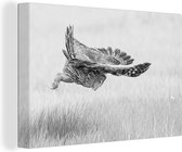 Tableau sur toile Hibou attrape une proie en noir et blanc - 150x100 cm - Décoration murale