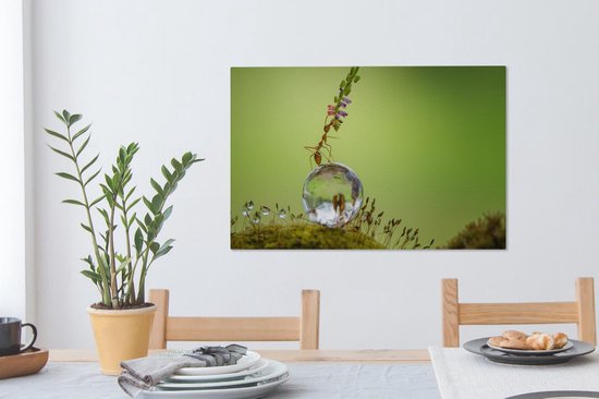 Tableau sur toile Fourmi assise sur une goutte d'eau - 60x40 cm - Décoration murale