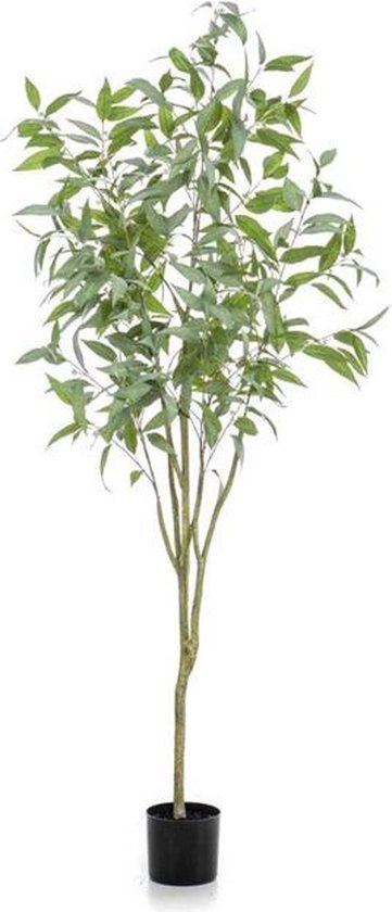 Emerald - Kunstboom Eucalyptus Globulus 195cm - Kunstplanten voor binnen