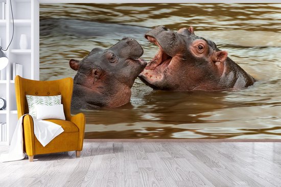 Papier peint - Papier peint Papier peint photo Hippopotame - Animaux - Water - Largeur 395 cm x hauteur 220 cm
