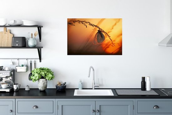 Poster Vlinders - Tarwe - Horizon - 90x60 cm