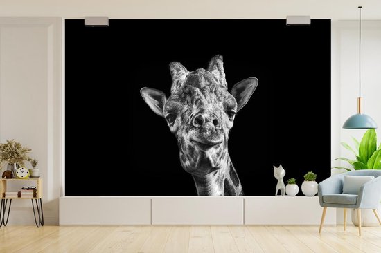 Papier peint - Papier peint Papier peint photo Girafe - Animal - Zwart - Wit - Largeur 390 cm x hauteur 260 cm