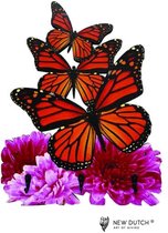 Vlinder kapstok- Wildlife kapstok- vlinders- kapstok-
