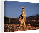 Canvas Schilderij Kangoeroe - Dier - Zon - Natuur - 30x20 cm - Wanddecoratie