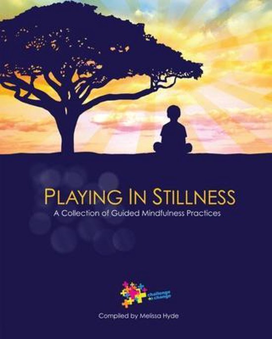 Playing in Stillness - cover
