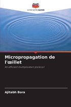 Micropropagation de l'oeillet