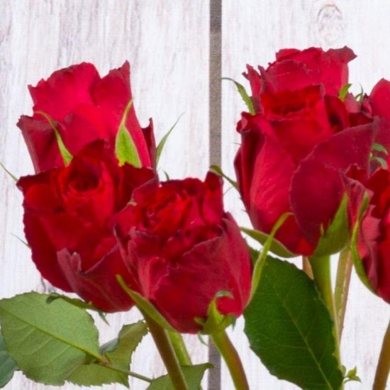 lenen Meestal het doel Bloomgift | Rode rozen | Brievenbus rozen | Cadeau per post | bol.com