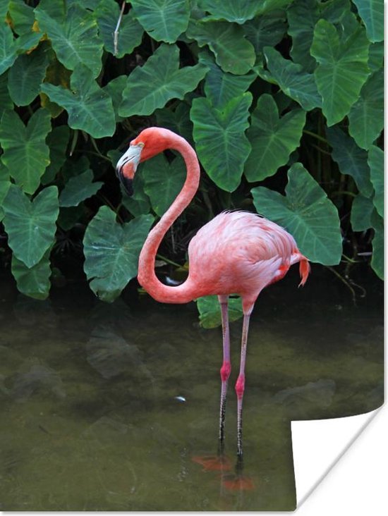 Een flamingo met planten achtergrond Poster 60x90 cm - Foto print op Poster (wanddecoratie)