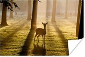 Hert in het bos foto afdruk Poster 60x40 cm - Foto print op Poster (wanddecoratie woonkamer / slaapkamer) / Wilde dieren Poster