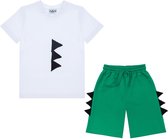 Gami Jongens t-shirts/shorts set 134 Groen