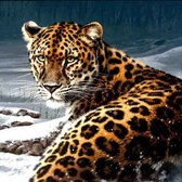 diamond painting 50x40 cm luipaard