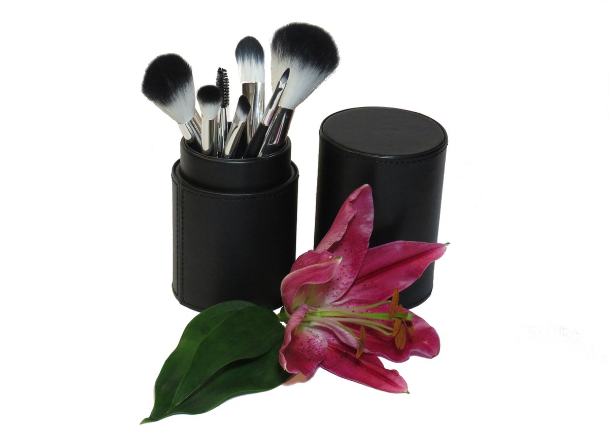 Idofido Make-upborstel set in koker - Superzacht - 3 Kleuren - Vegan