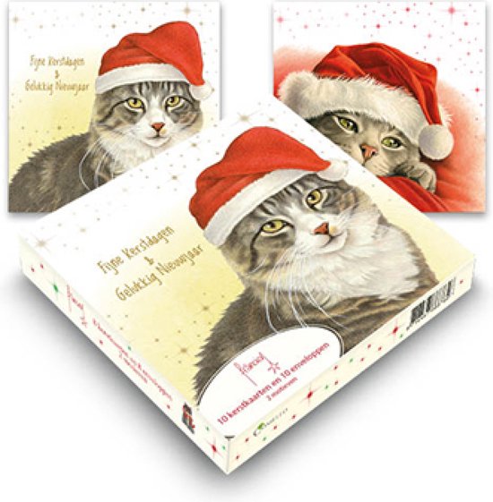 Kerstkaarten doosje met katten met kerstmutsen. Tekst: 'Fijne Kerstdagen & Gelukkig Nieuwjaar'.