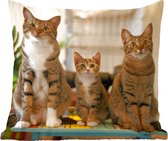 Sierkussens - Kussentjes Woonkamer - 40x40 cm - Drie katten op kleine tafel