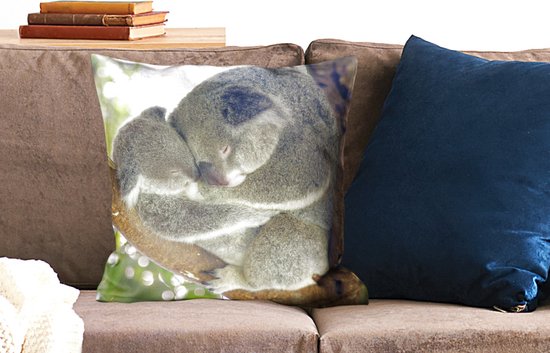 Koalas - Câlin - Animaux