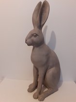 Hazen beeld Zeer grote haas grijs SUPER decoratie haas konijn Slijkhuis 62x29x31 cm
