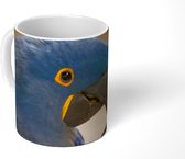 Mok - Close-up weergave van een hyacintara - 350 ML - Beker