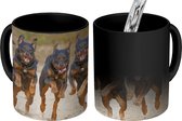 Magische Mok - Foto op Warmte Mokken - Koffiemok - Rennende Rottweilers op een rij - Magic Mok - Beker - 350 ML - Theemok