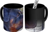 Magische Mok - Foto op Warmte Mokken - Koffiemok - Zijaanzicht van het hoofd van een Rottweiler - Magic Mok - Beker - 350 ML - Theemok