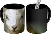 Magische Mok - Foto op Warmte Mok - Schaap - Dier - Portret - 350 ML