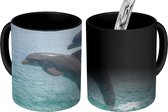 Magische Mok - Foto op Warmte Mok - Dolfijnen voor de Baai-eilanden - 350 ML
