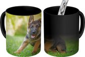 Magische Mok - Foto op Warmte Mok - Puppy zit in het gras - 350 ML