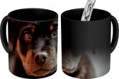 Magic Mug - Photo Warm Mug - Young - Dog - Camera - 350 ML - Sinterklaas Gift - Noël Presents - Shoes Presents - Handout Presents
