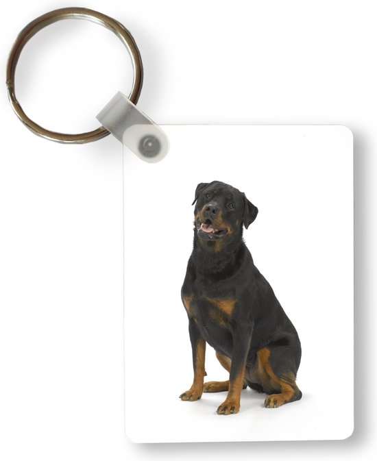 Porte-clés Rottweiler - Rottweiler sur fond blanc Porte-clés plastique -  Porte-clés... | bol.com