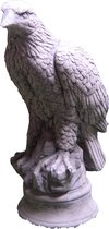 Tuinbeeld adelaar jong (grijs/gepattineerd)- Decoratie voor binnen/buiten - beton
