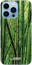 6F hoesje - geschikt voor iPhone 13 Pro - Transparant TPU Case - Bamboo #ffffff