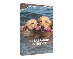 De Labrador Retriever