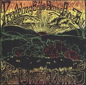 Trembling Bells Feat. Bonnie Prince Billy - The Marble Downs (CD)