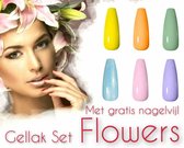 Braembles® - Gellak - Set - Flowers + -Nagelstickers- + -Nagelvijl- 6-delige - Gellak Starterspakket - Gel Nagellak - Pink Gellac - Gellac - Nagels - 10ML - UV-LEDlamp - Kerstcadea