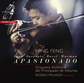 Apasionado - Sarasate Zigeunerweise