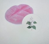 scentchips jasmin