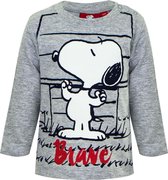 Snoopy baby shirt / longsleeve, grijs, maat 81 ( 18 maanden)